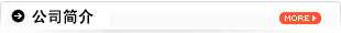 公司简介